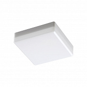https://img.divine-light.ru/0/699/000699866_800_800.jpg