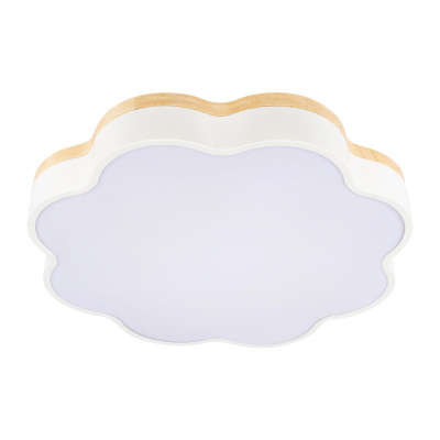 Накладной светильник LOFT IT 10225/36 White