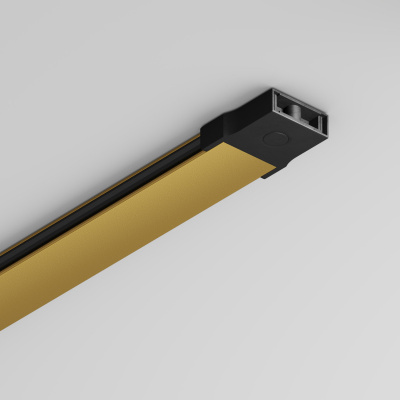 Шинопровод Denkirs TR5202-GO