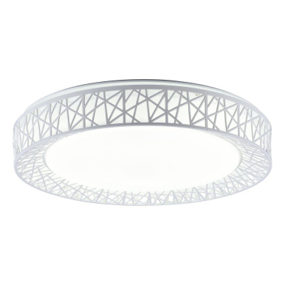 Потолочный светодиодный светильник Toplight Diana TL1204X-72WH
