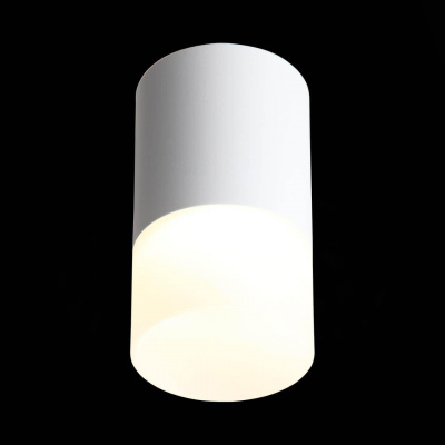 Потолочный светодиодный светильник ST Luce Ottu ST100.502.05