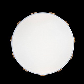 https://vokruglamp.ru/upload/iblock/acf/potolochnyy_svetodiodnyy_svetilnik_loft_it_axel_10006_36_white_1.jpeg