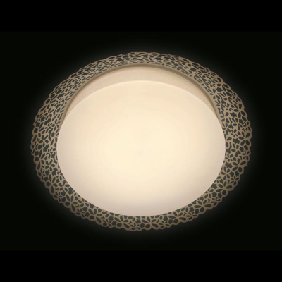 Потолочный светодиодный светильник Ambrella light Orbital Design F119 WH 72W D520