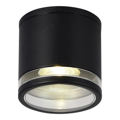 Накладной уличный светильник ST-Luce SL9009.402.01