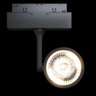 Трековый светодиодный светильник Maytoni Track lamps TR024-2-10B3K