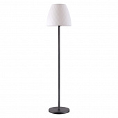 https://img.divine-light.ru/1/096/001096510_800_800.jpg