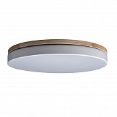 https://vokruglamp.ru/upload/iblock/ea9/potolochnyy_svetodiodnyy_svetilnik_loft_it_axel_10001_36_white_1.jpeg