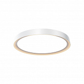 https://img.divine-light.ru/1/519/001519213_800_800.jpg