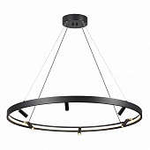 https://vokruglamp.ru/upload/iblock/640/9qe0fy3nd8tmsp0s3caogakdufxi94d3/podvesnaya_svetodiodnaya_lyustra_odeon_light_hightech_fonda_4317_93l_1.jpeg