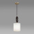 https://vokruglamp.ru/upload/iblock/a4a/vcai9ro26urk0p1olx4igmff6s30pfdy/podvesnoy_svetilnik_odeon_light_exclusive_modern_pollen_5424_1_1.jpeg
