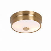 https://img.divine-light.ru/0/457/000457436_800_800.jpg