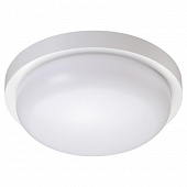 https://img.divine-light.ru/1/088/001088242_800_800.jpg
