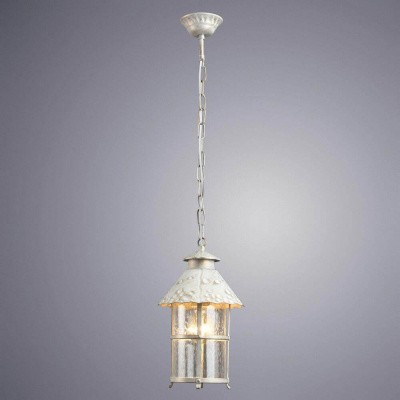 Уличный подвесной светильник Arte Lamp Prague A1465SO-1WG
