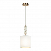 https://vokruglamp.ru/upload/iblock/fb6/my58qh741iglcfttpdnjo8zlsj1c1twn/podvesnoy_svetilnik_odeon_light_exclusive_modern_pollen_5423_1_1.jpeg