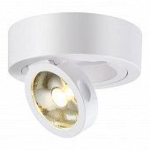 https://img.divine-light.ru/1/087/001087802_800_800.jpg