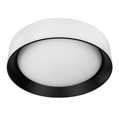 Накладной светильник LOFT IT 10202 WB