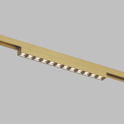 Светильник на шине Denkirs DK5971-SB