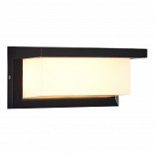 https://img.divine-light.ru/1/469/001469332_800_800.jpg