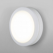 https://vokruglamp.ru/upload/iblock/e6b/ulichnyy_nastennyy_svetodiodnyy_svetilnik_elektrostandard_ltb51_led_belyy_4690389150722_1.jpeg