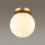 https://vokruglamp.ru/upload/iblock/0c6/hozuaddmf85qj2rk851a1lj210calazi/potolochnyy_svetilnik_odeon_light_hightech_bosco_4247_1c_2.jpeg