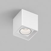 https://img.divine-light.ru/1/667/001667629_800_800.jpg