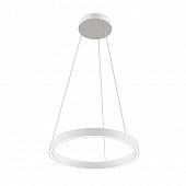 https://img.divine-light.ru/0/542/000542646_800_800.jpg