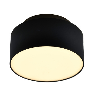 Накладной светильник ST-Luce ST166.442.17