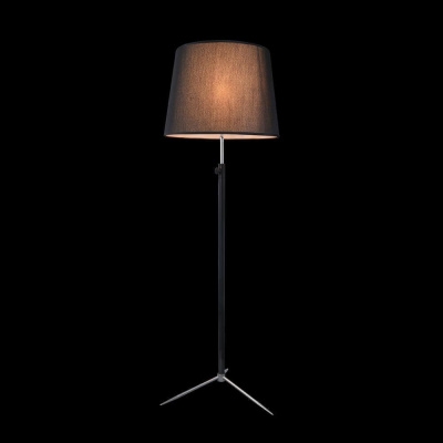 Торшер Maytoni Monic MOD323-FL-01-B