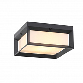 https://img.divine-light.ru/0/347/000347854_800_800.jpg