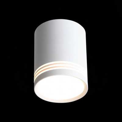 Потолочный светодиодный светильник ST Luce Cerione ST101.502.12