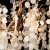 https://vokruglamp.ru/upload/iblock/68d/podvesnaya_lyustra_loft_it_fairytree_10066_600_gb_5.jpeg