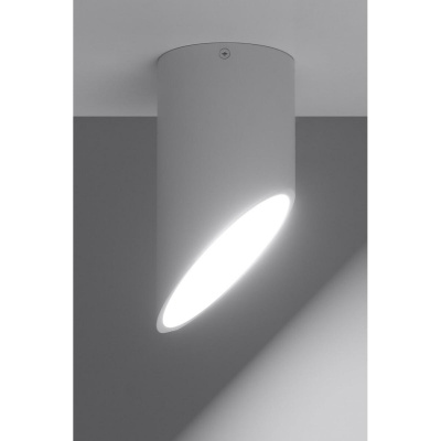 Потолочный светильник Sollux Penne SL.0103