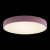 https://vokruglamp.ru/upload/iblock/91d/potolochnyy_svetodiodnyy_svetilnik_loft_it_axel_10002_24_pink_4.jpeg