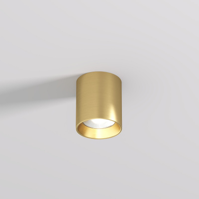 Накладной светильник Denkirs DK2610-SB Накладной светильник Denkirs DK2610-SB