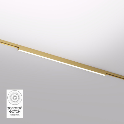 Светильник на шине Denkirs DK5752-SB