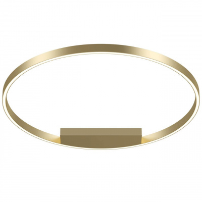 Потолочный светодиодный светильник Maytoni Rim MOD058CL-L50BS4K