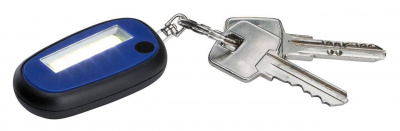 Карманный светодиодный фонарь Paulmann Mini Key Flashlight от батареек 60х38х12 20 лм 78968