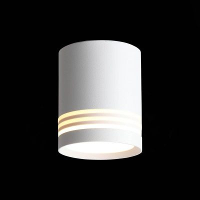 Потолочный светодиодный светильник ST Luce Cerione ST101.502.05