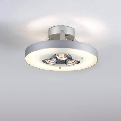 Потолочный светильник Paulmann Frisco 70165