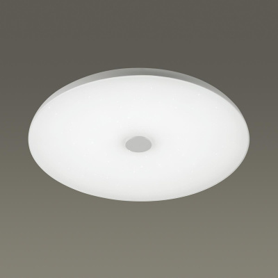 Потолочный светодиодный светильник Sonex Roki muzcolor Vasta led 4629/CL