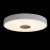 https://vokruglamp.ru/upload/iblock/286/potolochnyy_svetodiodnyy_svetilnik_loft_it_axel_10003_24_white_2.jpeg