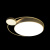 https://vokruglamp.ru/upload/iblock/6f2/potolochnyy_svetodiodnyy_svetilnik_loft_it_mike_10063_3.jpeg