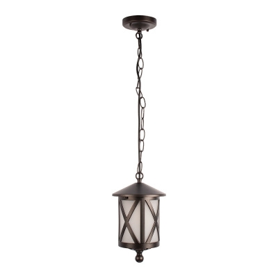 Подвесной уличный светильник LOFT IT 100016P