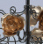 https://vokruglamp.ru/upload/iblock/769/hexv52g5t9hxm7xopyjv7w28xj5nw0kz/podvesnaya_lyustra_mw_light_rozenkheym_615011708_1.jpeg
