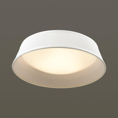 Потолочный светильник Odeon Light Sapia 4157/3C
