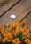 Ландшафтный светодиодный светильник Paulmann Floor downlight 94366