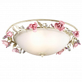 Sun, 27 Dec 2020 17:04:20 GMT