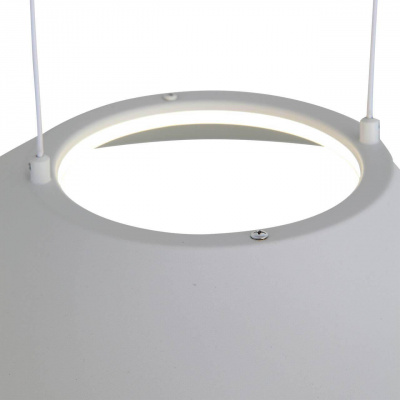 Подвесной светодиодный светильник ST Luce Pitto SL427.513.01