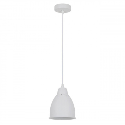 Подвесной светильник Arte Lamp Braccio A2054SP-1WH