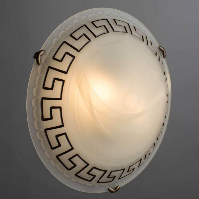 Потолочный светильник Arte Lamp Antica A3640PL-2AB